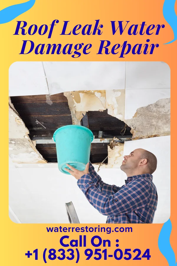 Roof Leak Water Damage Repair in New Baltimore, OH
