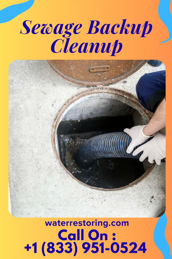 Sewage Backup Cleanup in New Baltimore, OH