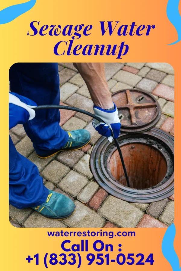 Sewage Water Cleanup in New Baltimore, OH
